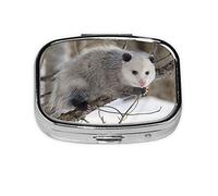 Danlim Pastillero portátil de acero inoxidable importado, pequeño contenedor de pastillas con espejo para billetera de bolsillo y regalo de viaje, zarigüeya en nieve