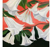 Danny George Wilson - Another Place [Vinilo]