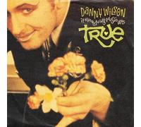 Danny Wilson - If Everything You Said Was True - Virgin - 112 640, Virgin - 112640-100