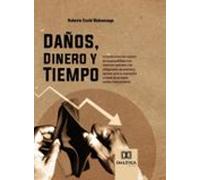 Daños Dinero Y Tiempo (ebook)