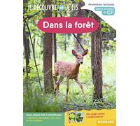 Dans la forêt: Début et milieu de CP