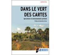 Dans Le Vert Des Cartes (ebook)
