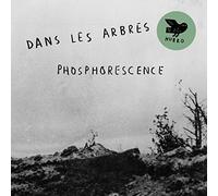 Dans Les Arbres - Phosphoresence [Vinilo]
