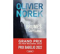 Dans Les Brumes De Capelans