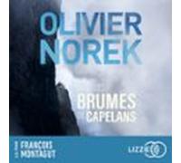 Dans Les Brumes De Capelans (audiolibro)