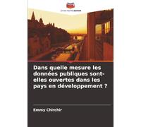 Dans quelle mesure les données publiques sont-elles ouvertes dans les pays en développement ?