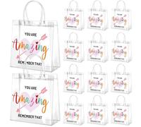 Dansydaisy 20 bolsas de regalo de PVC transparente con asas, inspiradoras bolsas de regalo de fiesta de PVC, bolsas de regalo transparentes a granel You Are Amazing Remember That reutilizables para