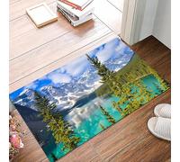 danxceh Alfombra Bañera Antideslizante,Alfombrilla Baño,Alfombra Ducha,Tapete Casa De Baño Absorbente,Vistas de Verano Desde el Parque Nacional Banff,40x60cm