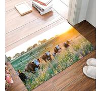danxceh Alfombra Bañera Antideslizante,Alfombrilla Baño,Alfombra Ducha,Tapete Casa De Baño Absorbente,Ganado Vaca Nebraska Ganado Hereford Atardecer Naturaleza Campo Parques,40x60cm