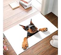 danxceh Alfombra Bañera Antideslizante,Alfombrilla Baño,Alfombra Ducha,Tapete Casa De Baño Absorbente,Voy hacia ti. Primer Plano de un Doberman Pinscher trepador sobre un fo,40x60cm