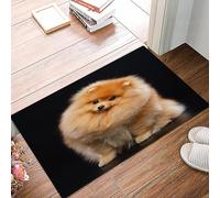 danxceh Alfombra Bañera Antideslizante,Alfombrilla Baño,Alfombra Ducha,Tapete Casa De Baño Absorbente,Lindo Perro Pomerania con la Cabeza Inclinada hacia un Lado,40x60cm
