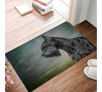 danxceh Alfombra Bañera Antideslizante,Alfombrilla Baño,Alfombra Ducha,Tapete Casa De Baño Absorbente,Dibujo de un Perro Schnauzer Gigante, Retrato Pintado al óleo sobre un,40x60cm