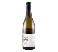 Dão António Madeira Branco 2023