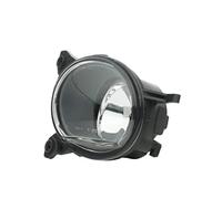 DAPA GmbH & Co. KG 190482012 antiniebla izquierdo)