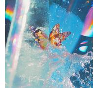 Daphni - Butterfly (2 LP)