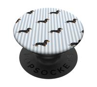 Dapple Dachshund Baby Blue Stripes Doxie Regalos para Mujer PopSockets PopGrip Adhesivo