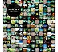 Darden Smith Everything (Vinyl) 12" Album (Importación USA)