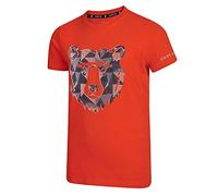 Dare 2b Frenzy tee Camiseta Junior 100% Algodón Frenzy tee Niño