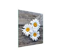 DarHaus Placa protectora de vitrocerámica 45 x 52 cm 1 pieza cocina eléctrica universal para inducción protección contra salpicaduras tabla de cortar de vidrio templado como decoración, MARGARITA