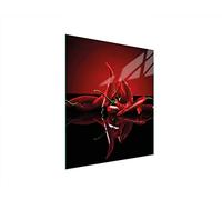 DarHaus Placa protectora de vitrocerámica 45 x 52 cm 1 pieza cocina eléctrica universal para inducción protección contra salpicaduras tabla de cortar de vidrio templado como decoración, CHILE