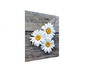 DarHaus Placa protectora de vitrocerámica 45 x 52 cm 1 pieza cocina eléctrica universal para inducción protección contra salpicaduras tabla de cortar de vidrio templado como decoración, MARGARITA