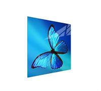 DarHaus Placa protectora de vitrocerámica 50 x 52 cm 1 pieza cocina eléctrica universal para inducción protección contra salpicaduras tabla de cortar de vidrio templado como decoración, MARIPOSA