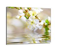 DarHaus Placa protectora de vitrocerámica 60 x 52 cm 1 pieza cocina eléctrica universal para inducción protección contra salpicaduras tabla de cortar de vidrio templado como decoración, CIRUELA