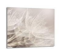 DarHaus Placa protectora de vitrocerámica 60 x 52 cm 1 pieza cocina eléctrica universal para inducción protección contra salpicaduras tabla de cortar de vidrio templado como decoración, FLOR