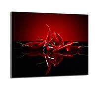 DarHaus Placa protectora de vitrocerámica 60 x 52 cm 1 pieza cocina eléctrica universal para inducción protección contra salpicaduras tabla de cortar de vidrio templado como decoración, CHILE