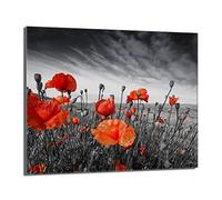 DarHaus Placa protectora de vitrocerámica 60 x 52 cm 1 pieza cocina eléctrica universal para inducción protección contra salpicaduras tabla de cortar de vidrio templado como decoración, AMAPOLAS