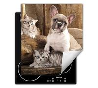 DarHaus Placa protectora vitroceramica 45 x 52 cm - Antideslizante Vinilo - Tapa protectora vitroceramica - Gatos y perros