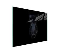 DarHaus Tabla de cortar de cristal, tabla de cocina de vidrio, tabla de vidrio para cortar y servir alimentos, cubierta para la placa de cocina, medidas 52 x 30 cm, JABALI