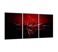 DarHaus Tabla de cortar decorativa de cristal templado y cubre vitro, Placa protectora de vitrocerámica 30 x 52 cm 3piezas, para inducción, protección contra salpicaduras, decoración, CHILE