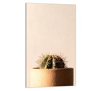 DarHaus Tabla de cortar decorativa de cristal templado y cubre vitro, Placa protectora de vitrocerámica 30 x 52 cm 1 piezas, para inducción, protección contra salpicaduras, decoración, CACTUS