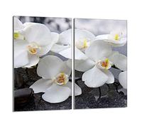 DarHaus Tabla de cortar decorativa de cristal templado y cubre vitro, Placa protectora de vitrocerámica 30 x 52 cm 2 piezas, para inducción, protección contra salpicaduras, decoración, ORQUÍDEA