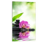 DarHaus Tabla de cortar decorativa de cristal templado y cubre vitro, Placa protectora de vitrocerámica 30 x 52 cm 1 piezas, para inducción, protección contra salpicaduras, decoración, ORQUÍDEA