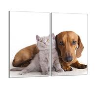 DarHaus Tabla de cortar decorativa de cristal templado y cubre vitro, Placa protectora de vitrocerámica 30 x 52 cm 2 piezas, para inducción, protección contra salpicaduras, decoración, ANIMALES