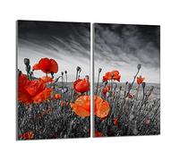 DarHaus Tabla de cortar decorativa de cristal templado y cubre vitro, Placa protectora de vitrocerámica 30 x 52 cm 2 piezas, para inducción, protección contra salpicaduras, decoración, AMAPOLAS