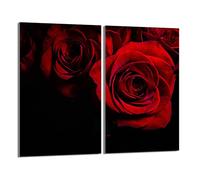 DarHaus Tabla de cortar decorativa de cristal templado y cubre vitro, Placa protectora de vitrocerámica 30 x 52 cm 2 piezas, para inducción, protección contra salpicaduras, decoración, ROSA