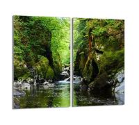 DarHaus Tabla de cortar decorativa de cristal templado y cubre vitro, Placa protectora de vitrocerámica 30 x 52 cm 2 piezas, para inducción, protección contra salpicaduras, decoración, BOSQUE