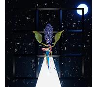 Darian Donovan Thomas - A ROOM WITH MANY DOORS : NIGHT [Vinilo]
