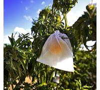 DARIK GREEN Pack 100 Bolsas de Papel parafina microperforado por Abajo de la Bolsa 21x16 cm. para protección de Fruta melocotón, Fresas, Naranjas. (100)