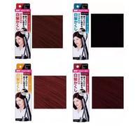 DARIYA - Salon De Pro Gray Hair Color Touch Dark Brown