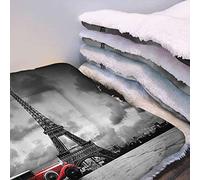 Dark Clouds Colchón cálido lavable a máquina para perros y gatos Imagen artística de la Torre Effel París Alfombra lavable para perrera para perros y gatos grandes, medianos y pequeños Decoración de