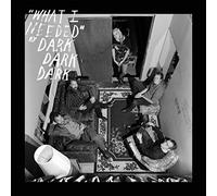 Dark Dark Dark - What I Needed [Vinilo]