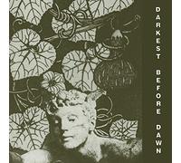 Dark Day - Darkest Before Dawn [VINYL] [Vinilo]