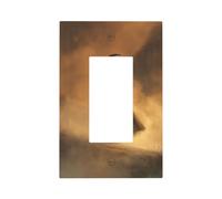 Dark Fantasy Old Witch in The Fog Light Switch Wall Plate Faceplate Cover Single Rocker 1 Gang Decorator Outlet Receptáculo Cubiertas para el hogar, cocina, habitación, baño