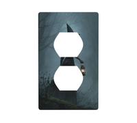 Dark Fantasy Witch Holding Lantern Woods Outlet Cover Light Switch Cover Decorative 1 Gang Wall Plate for Kitchen Room Bathroom Size 7x11.4cm