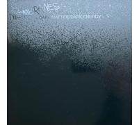 Dark Matter/Dark Energy (2 LP) [Vinilo]