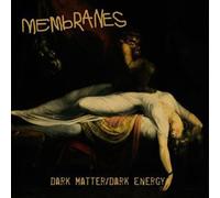 Dark Matter/Dark Energy